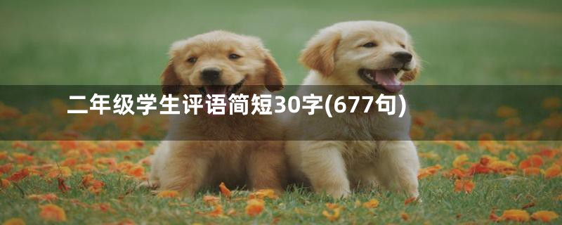 二年级学生评语简短30字(677句)