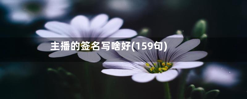 主播的签名写啥好(159句)