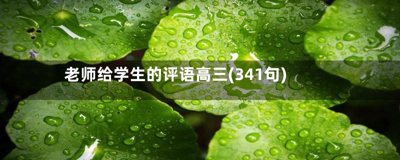 老师给学生的评语高三(341句)