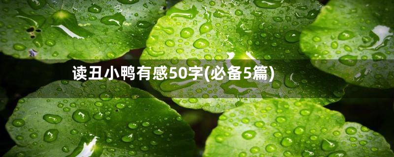 读丑小鸭有感50字(必备5篇)