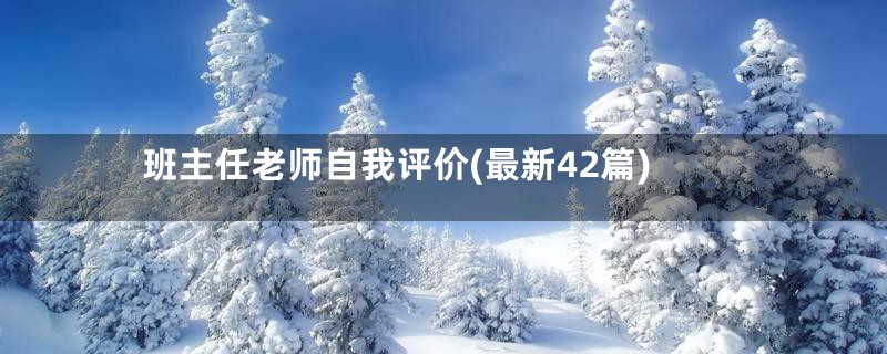 班主任老师自我评价(最新42篇)