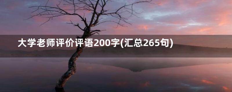 大学老师评价评语200字(汇总265句)