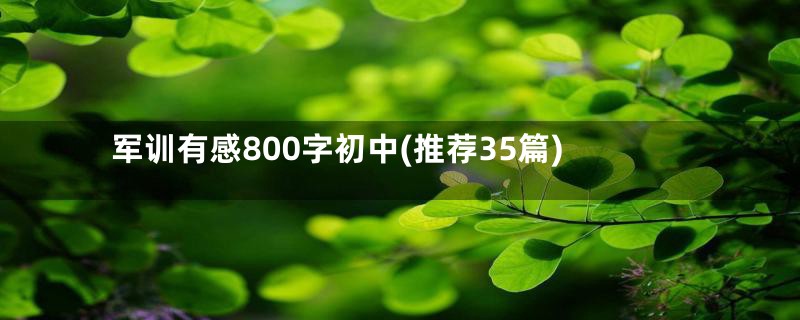 军训有感800字初中(推荐35篇)