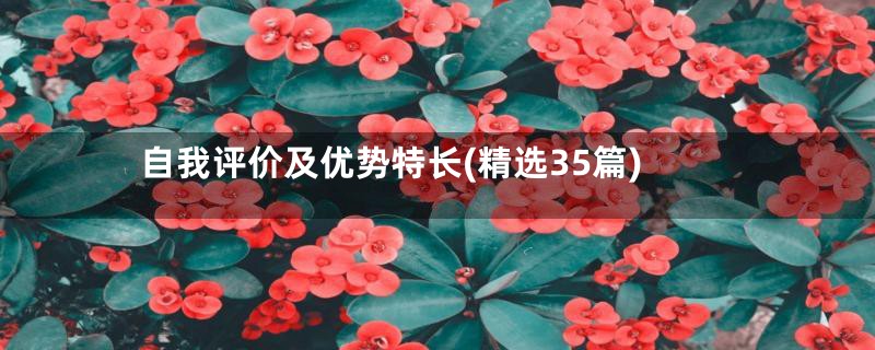 自我评价及优势特长(精选35篇)