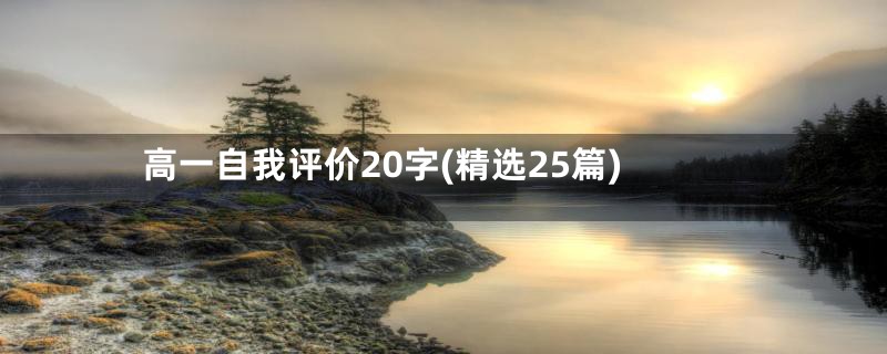 高一自我评价20字(精选25篇)