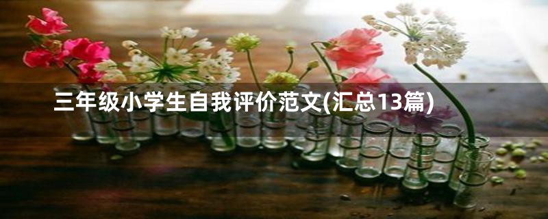 三年级小学生自我评价范文(汇总13篇)