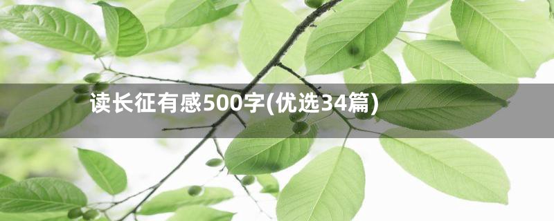 读长征有感500字(优选34篇)