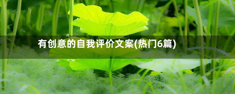 有创意的自我评价文案(热门6篇)