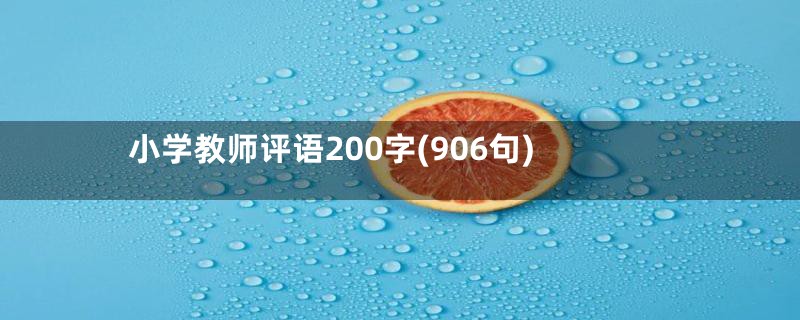 小学教师评语200字(906句)