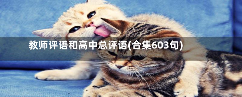 教师评语和高中总评语(合集603句)