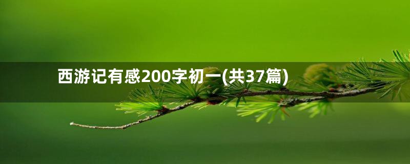 西游记有感200字初一(共37篇)