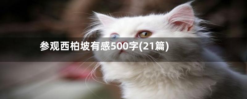 参观西柏坡有感500字(21篇)