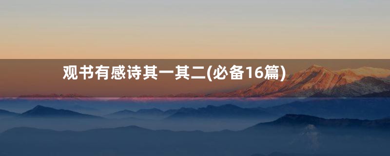 观书有感诗其一其二(必备16篇)