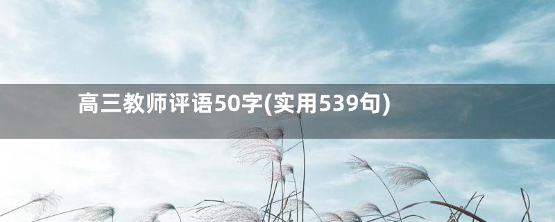 高三教师评语50字(实用539句)