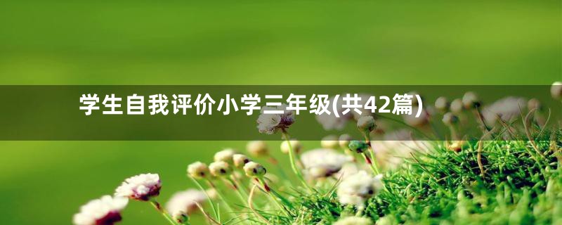 学生自我评价小学三年级(共42篇)