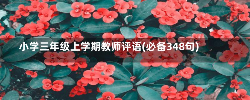 小学三年级上学期教师评语(必备348句)