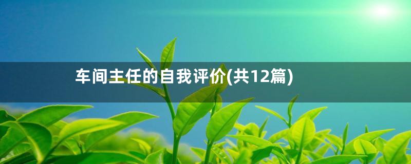 车间主任的自我评价(共12篇)