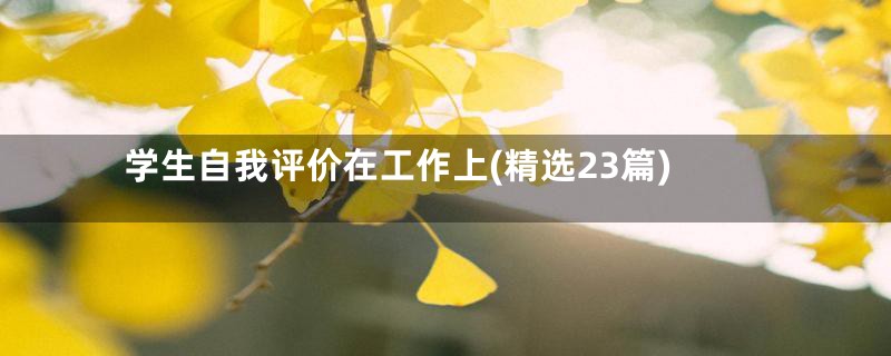 学生自我评价在工作上(精选23篇)