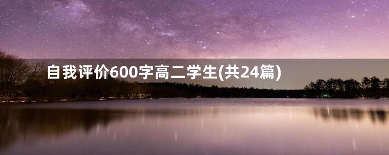 自我评价600字高二学生(共24篇)