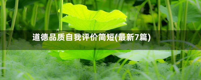 道德品质自我评价简短(最新7篇)