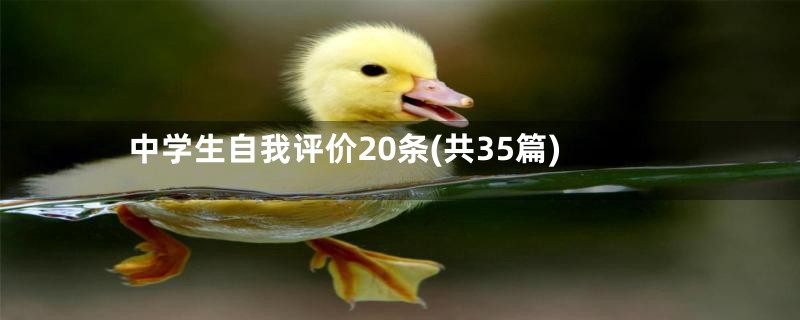 中学生自我评价20条(共35篇)