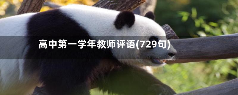 高中第一学年教师评语(729句)