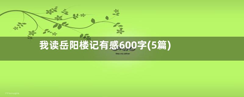 我读岳阳楼记有感600字(5篇)