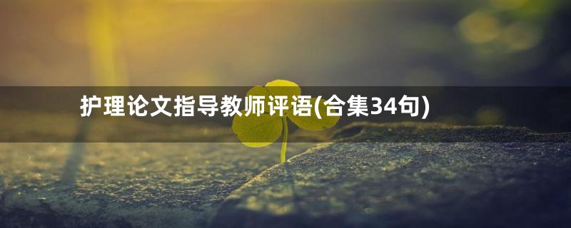 护理论文指导教师评语(合集34句)