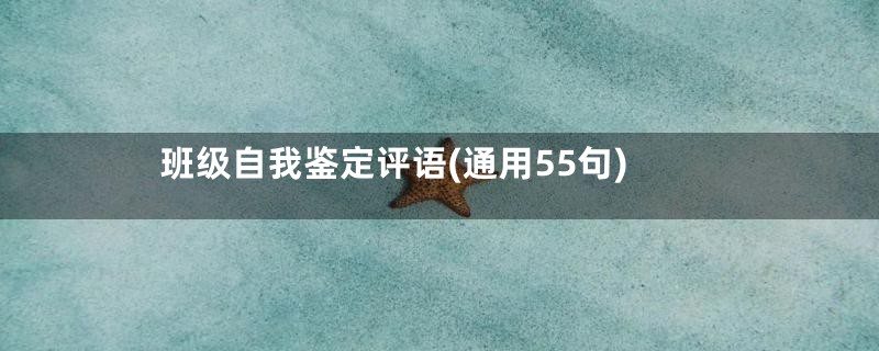 班级自我鉴定评语(通用55句)