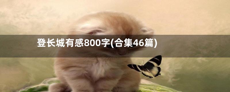 登长城有感800字(合集46篇)