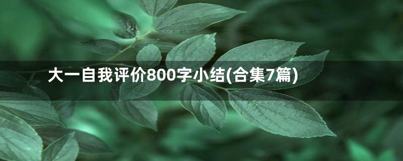 大一自我评价800字小结(合集7篇)