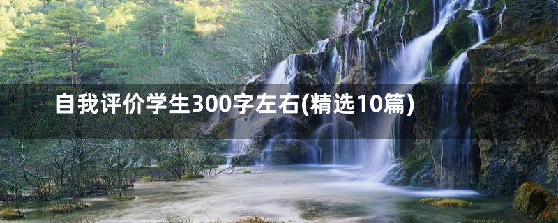 自我评价学生300字左右(精选10篇)