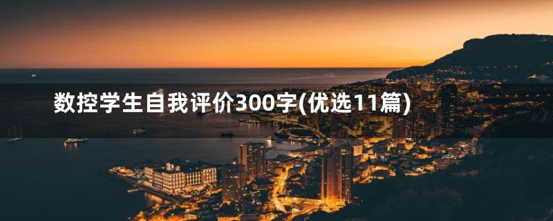 数控学生自我评价300字(优选11篇)