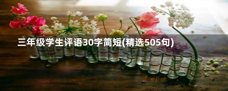 三年级学生评语30字简短(精选505句)