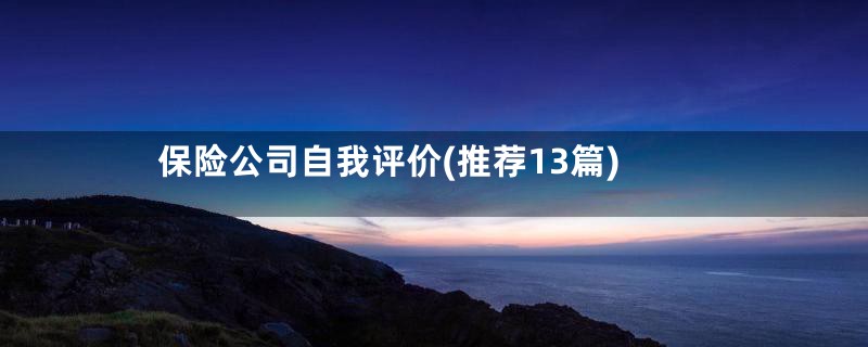 保险公司自我评价(推荐13篇)