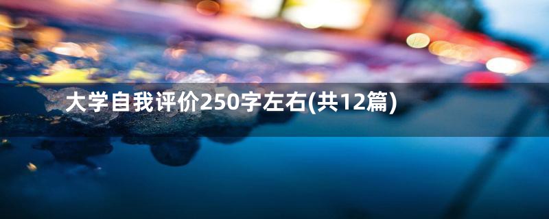 大学自我评价250字左右(共12篇)