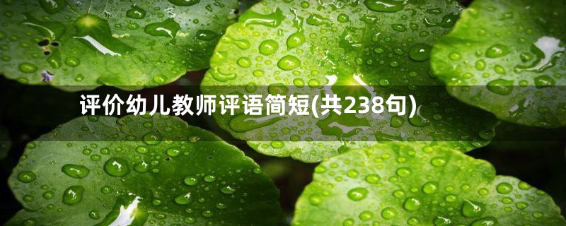 评价幼儿教师评语简短(共238句)