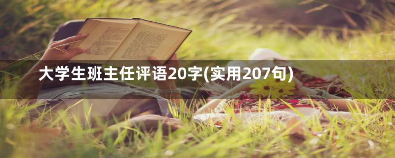 大学生班主任评语20字(实用207句)