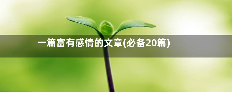 一篇富有感情的文章(必备20篇)