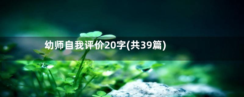 幼师自我评价20字(共39篇)