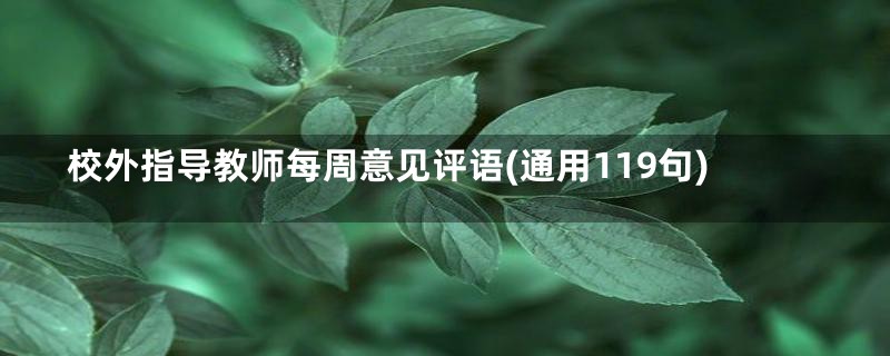 校外指导教师每周意见评语(通用119句)