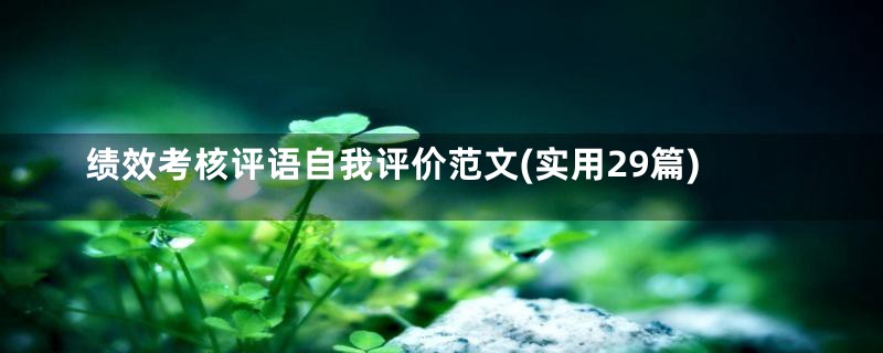 绩效考核评语自我评价范文(实用29篇)