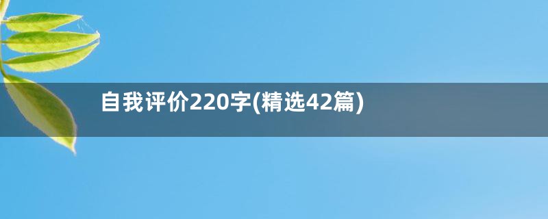 自我评价220字(精选42篇)