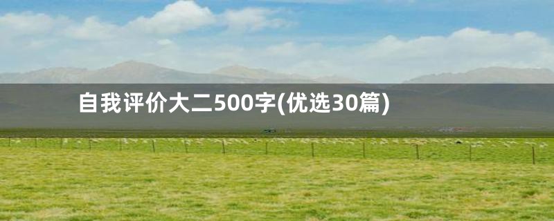 自我评价大二500字(优选30篇)