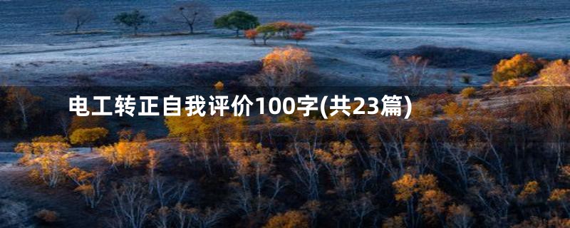 电工转正自我评价100字(共23篇)