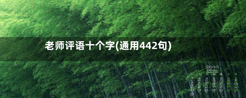 老师评语十个字(通用442句)