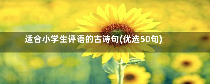 适合小学生评语的古诗句(优选50句)