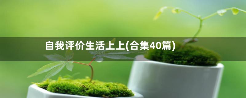 自我评价生活上上(合集40篇)