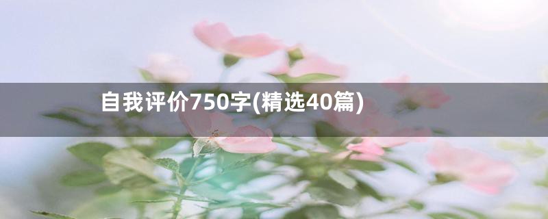 自我评价750字(精选40篇)