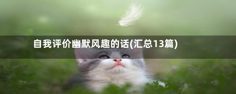 自我评价幽默风趣的话(汇总13篇)